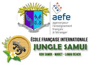 Ecole Française Internationale Jungle Samui (EFIJS) 