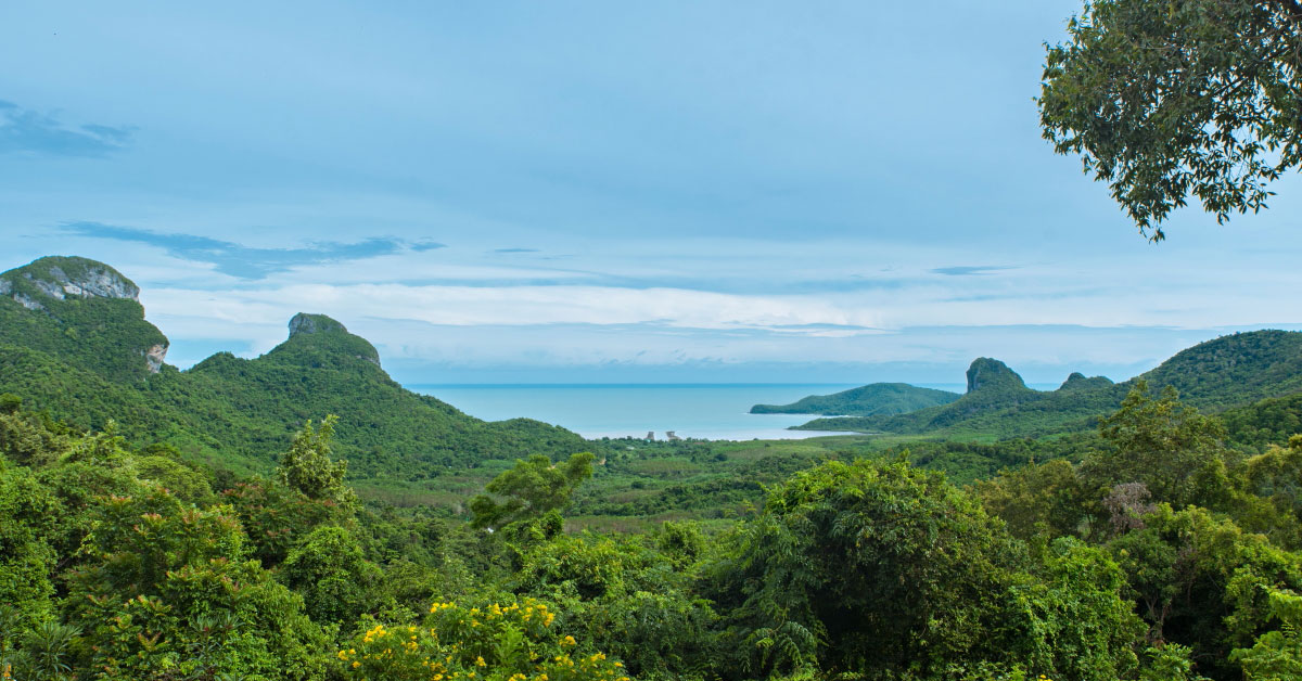 panorama vue